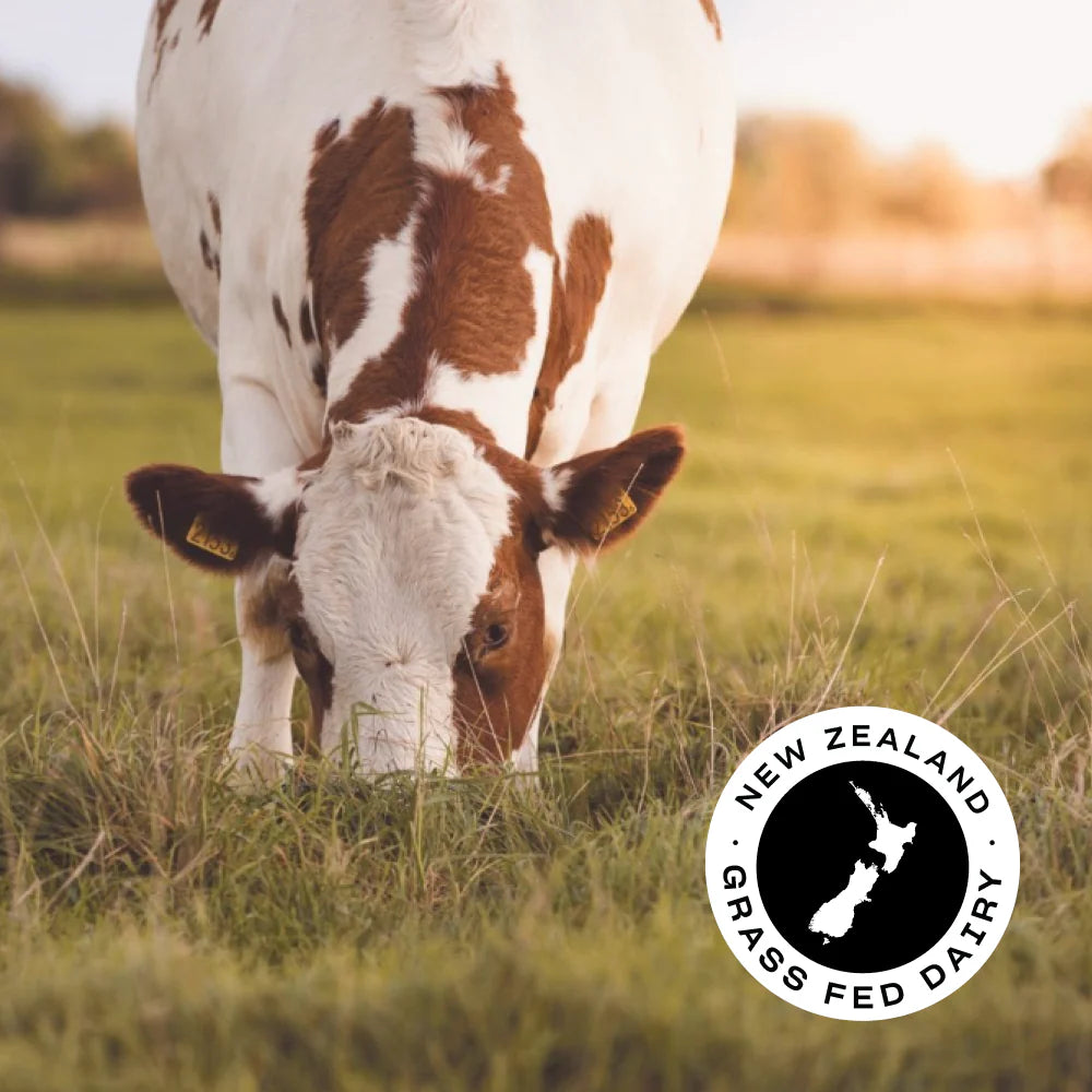 PILLAR WHEY PROTEIN ISOLATE - GRASS-FED